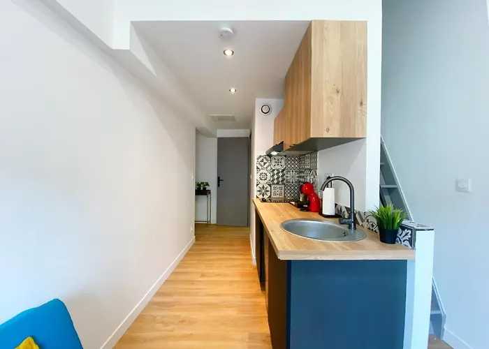 Hypercentre Toulouse 7 Appartement Climatise