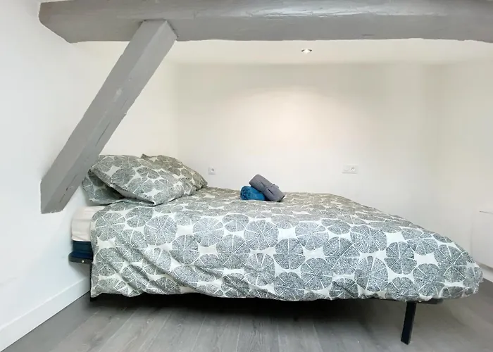 Hypercentre Toulouse 7 Appartement Climatise